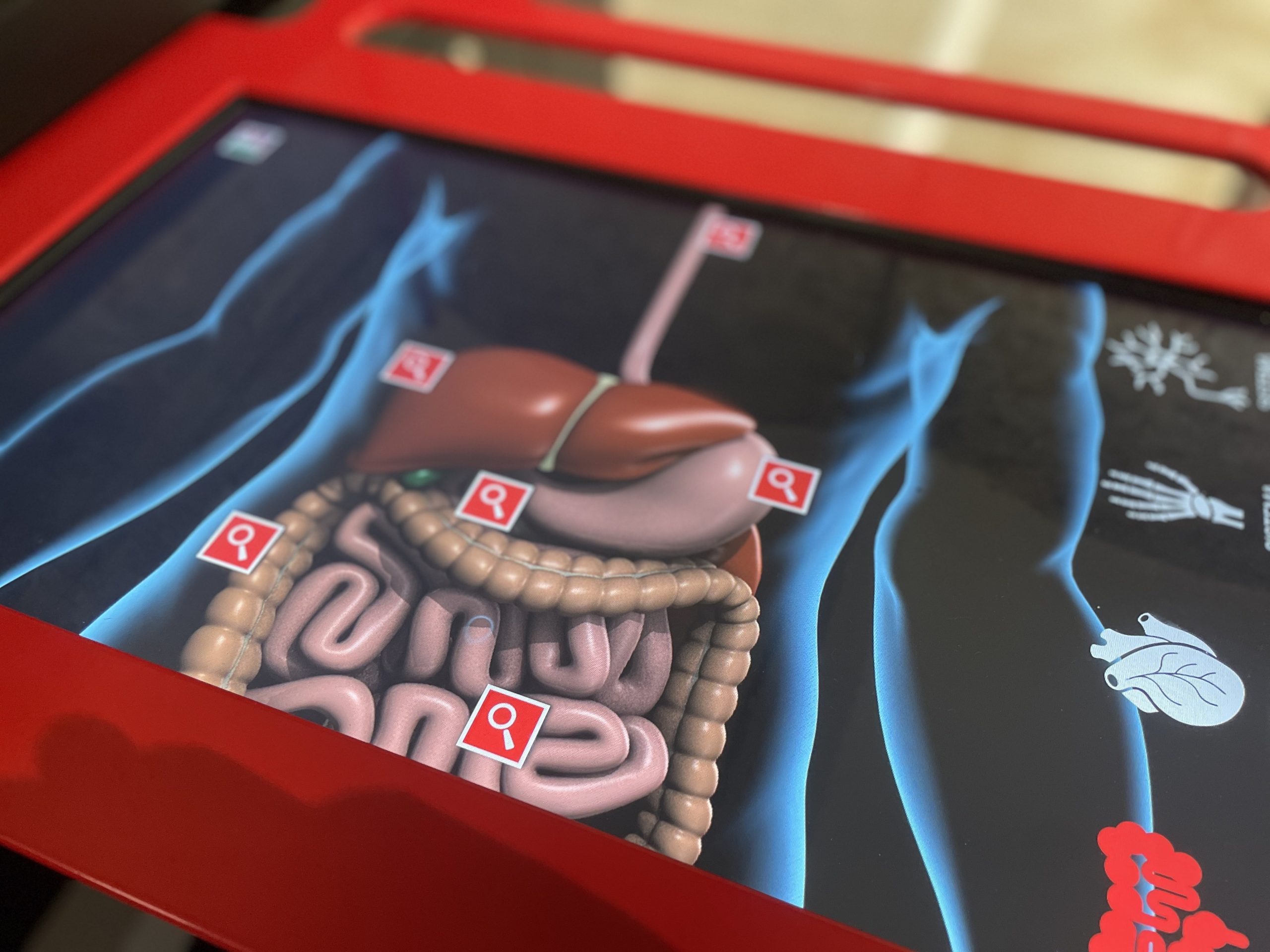 IS - RX corpo umano 2025.