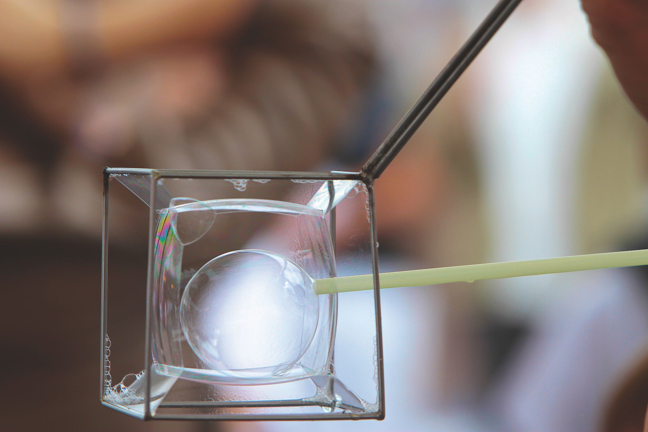 Trieste NEXT - La notte dei Ricercatori - Piazza dell'Unità d'Italia, 27 settembre 2013 ph Massimo Goina