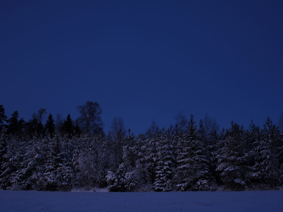 IS - la notte più lunga 2025