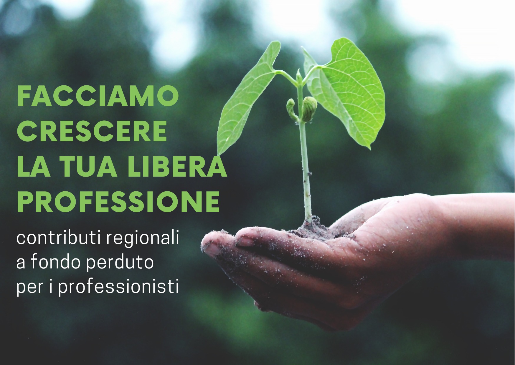 Lavoro FVG contr reg fondo perd 2025